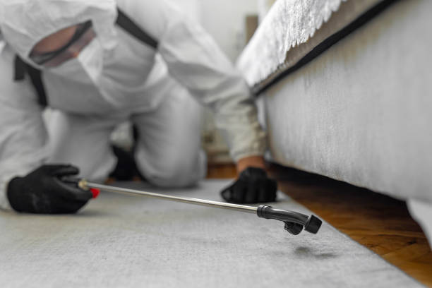 Professional Bed Bug Control technician working in Country Club, CA