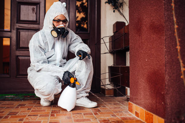 Reliable Bed Bug Control contractor in Country Club, CA by Nex Pest Control