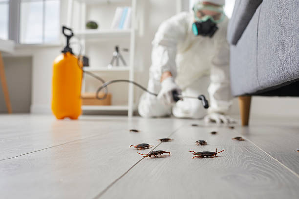 Trusted Fumigation Services service in Country Club, CA - Nex Pest Control