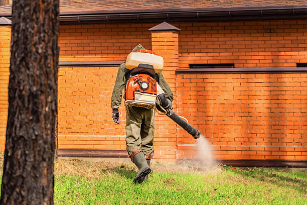 Trusted Mosquito Control service in Country Club, CA - Nex Pest Control